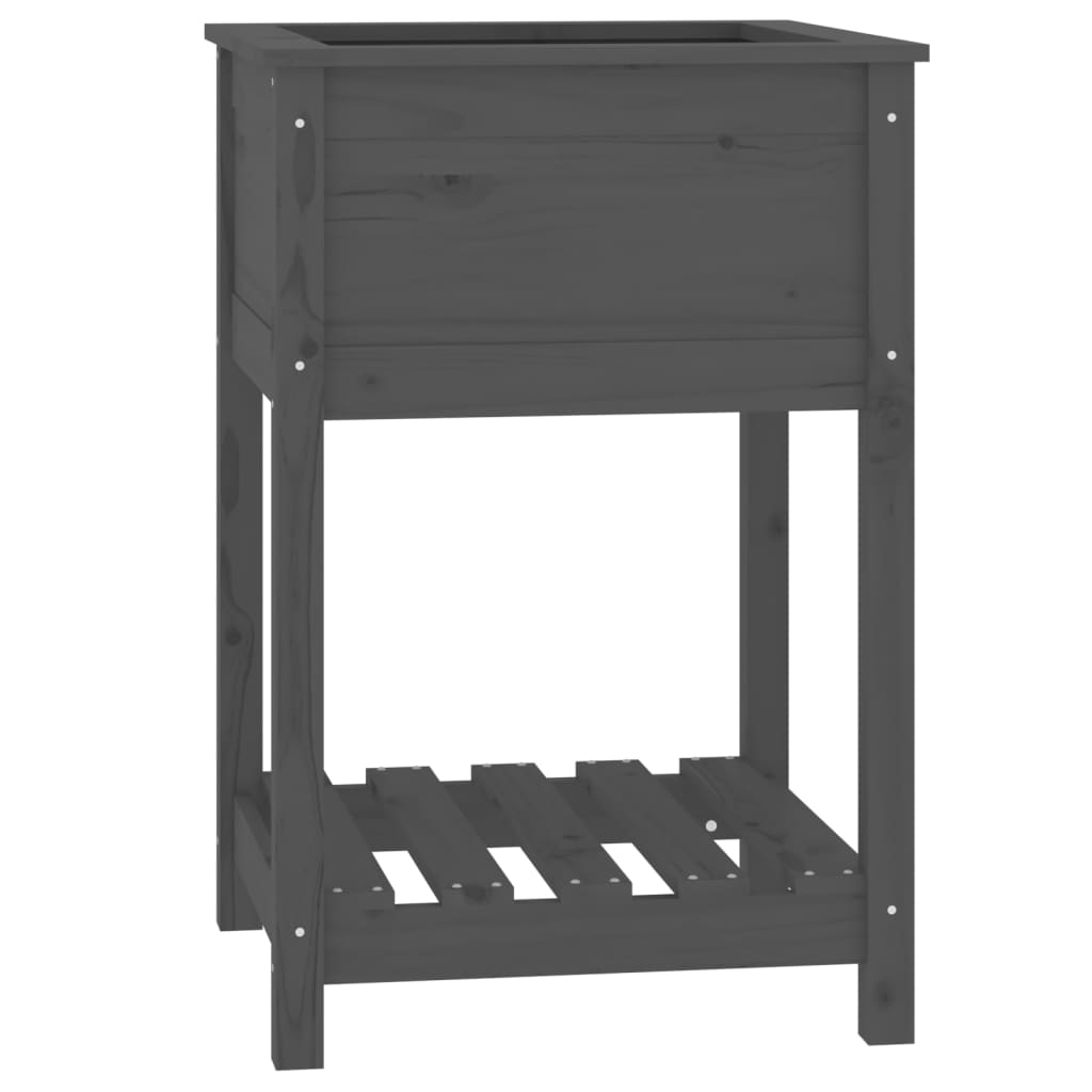 Sadilica s policom siva 54x54x81 cm od masivne borovine