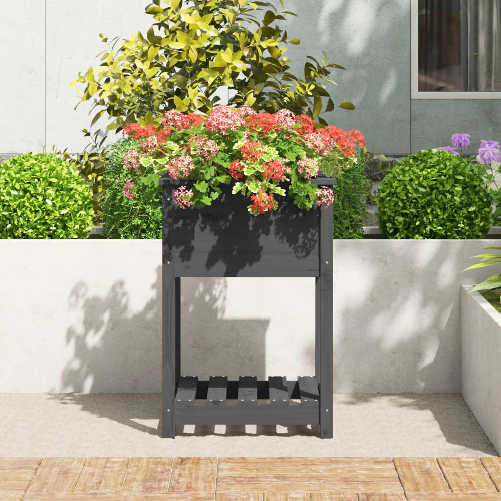 Sadilica s policom siva 54x54x81 cm od masivne borovine