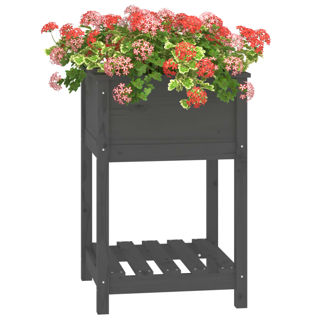 Sadilica s policom siva 54x54x81 cm od masivne borovine
