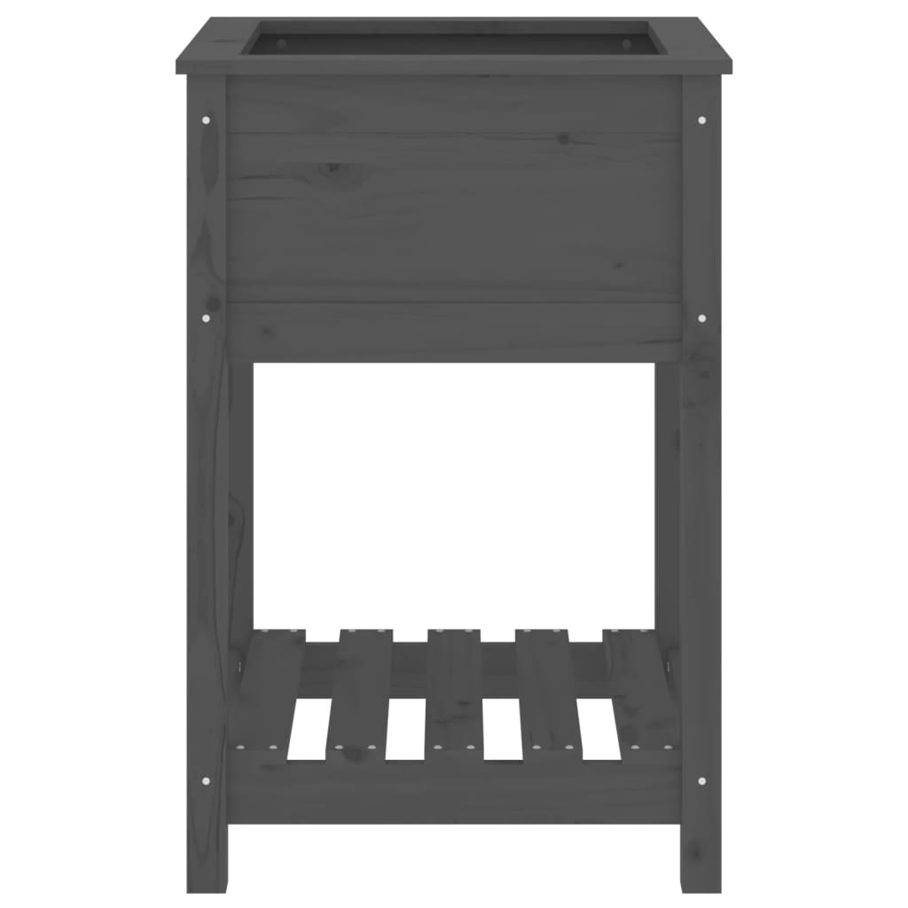 Sadilica s policom siva 54x54x81 cm od masivne borovine
