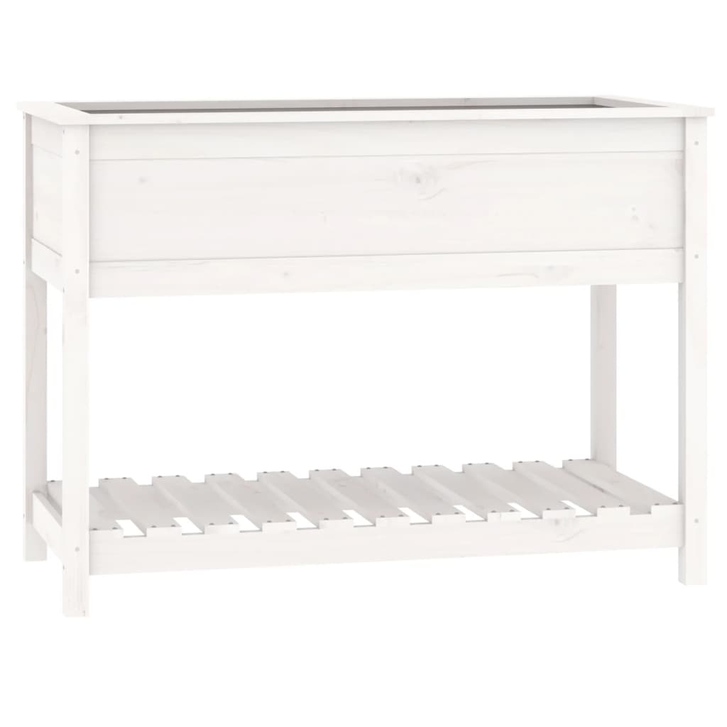 Sadilica s policom bijela 111,5x54x81 cm od masivne borovine