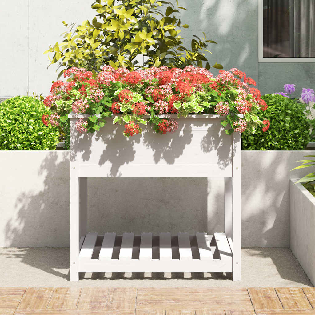 Sadilica s policom bijela 82,5x82,5x81 cm od masivne borovine