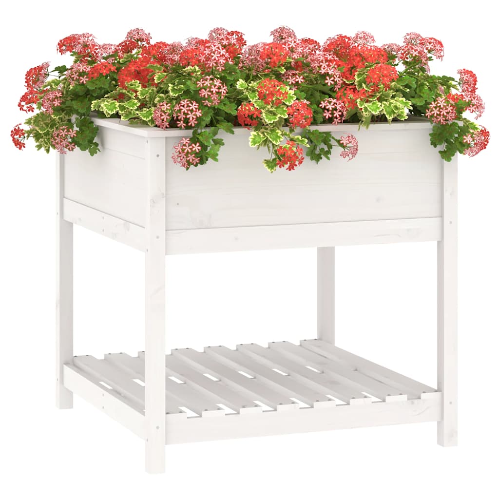 Sadilica s policom bijela 82,5x82,5x81 cm od masivne borovine