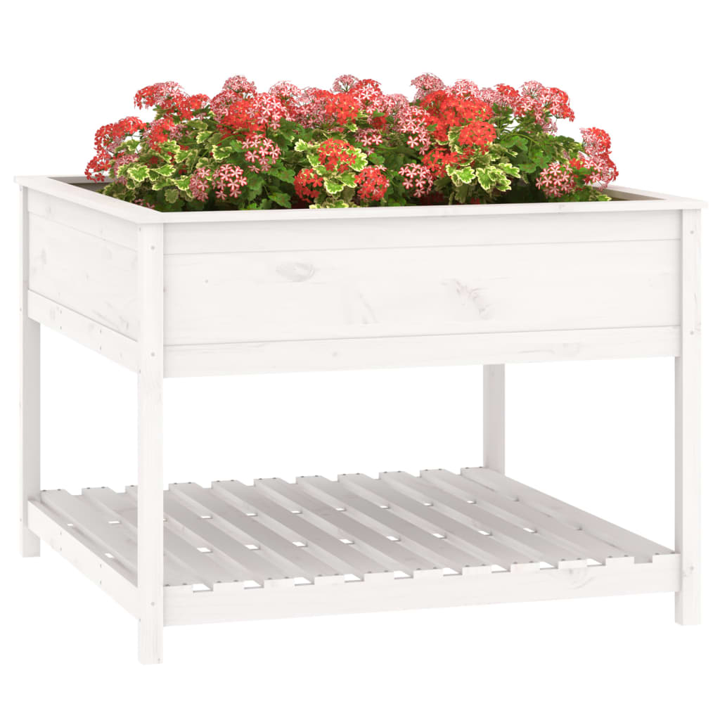 Sadilica s policom bijela 111,5x111,5x81 cm od masivne borovine