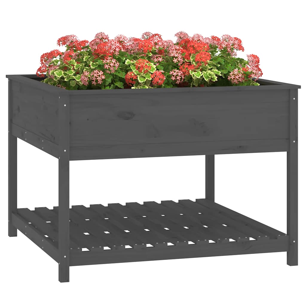 Sadilica s policom siva 111,5x111,5x81 cm od masivne borovine