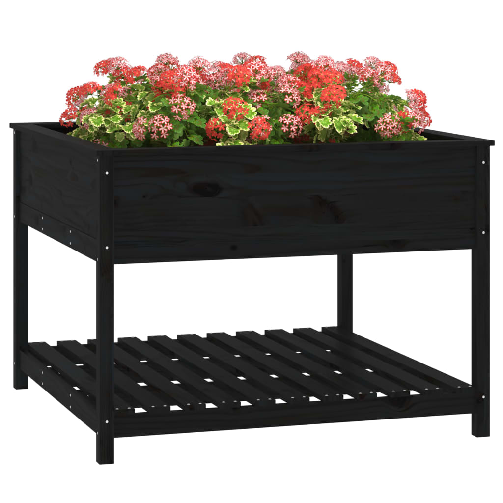 Sadilica s policom crna 111,5x111,5x81 cm od masivne borovine