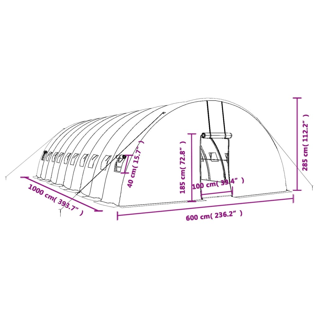 Staklenik s čeličnim okvirom bijeli 60 m² 10 x 6 x 2,85 m