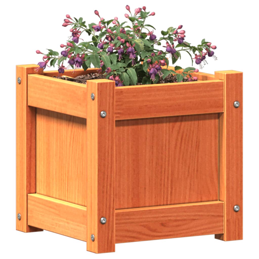 Vrtna sadilica voštano smeđe boje 31x31x31 cm od borovine