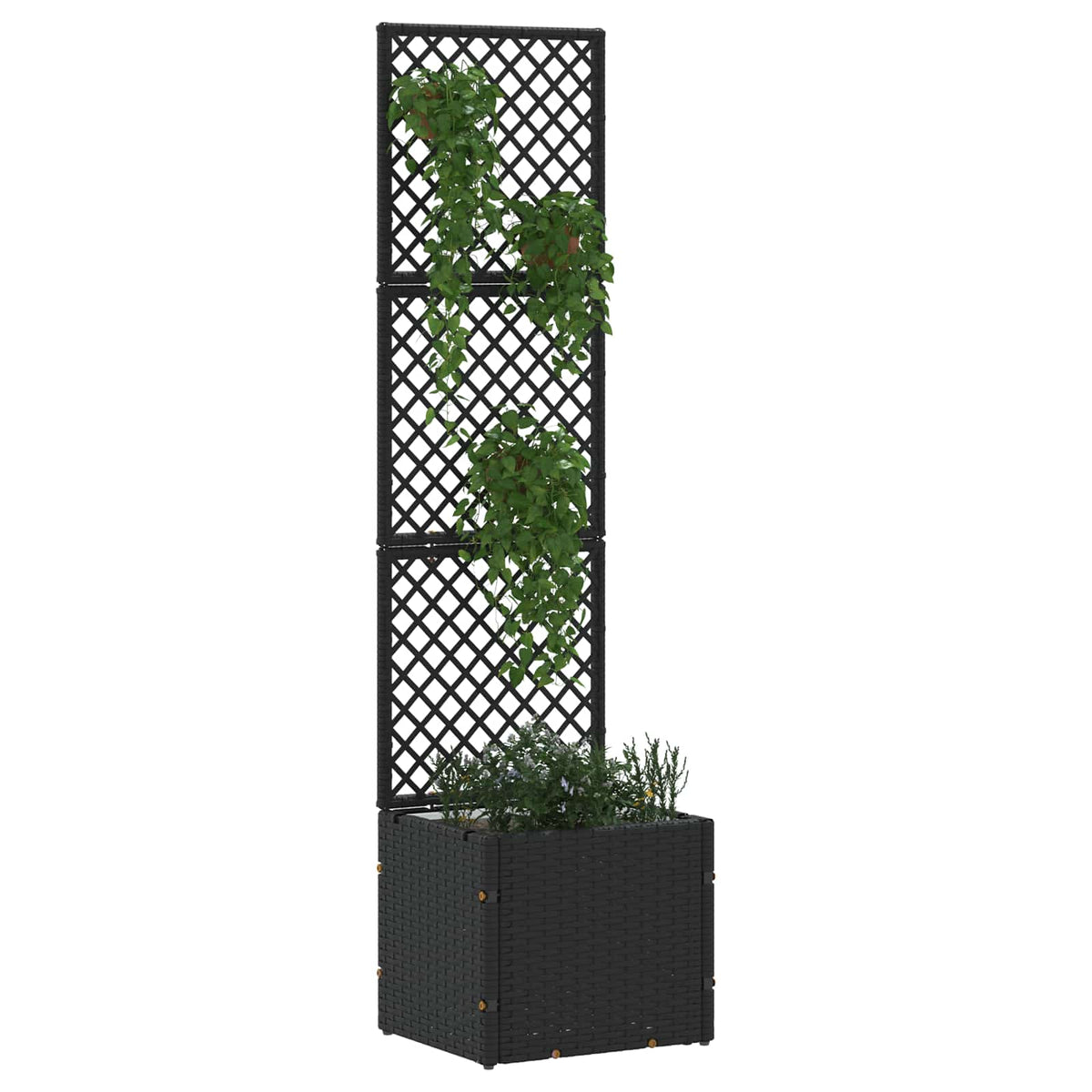 Vrtni rešetkasti saksija Crna 35 x 30 x 135 cm Metal