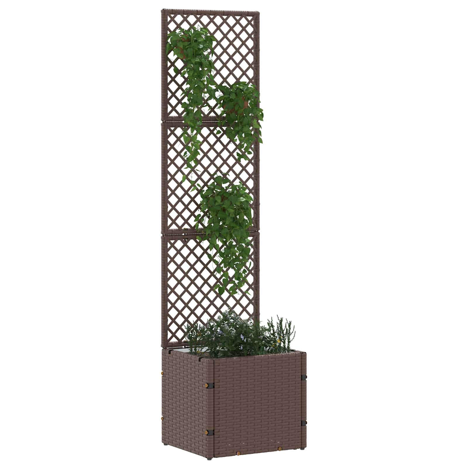 Vrtni rešetkasti saksija Smeđa 35 x 30 x 135 cm Metal