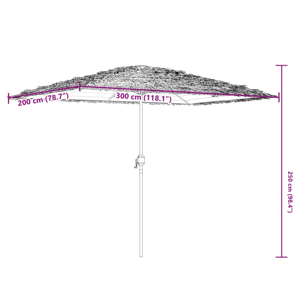 Vrtni suncobran LED s čeličnom šipkom smeđi 300x200x250 cm