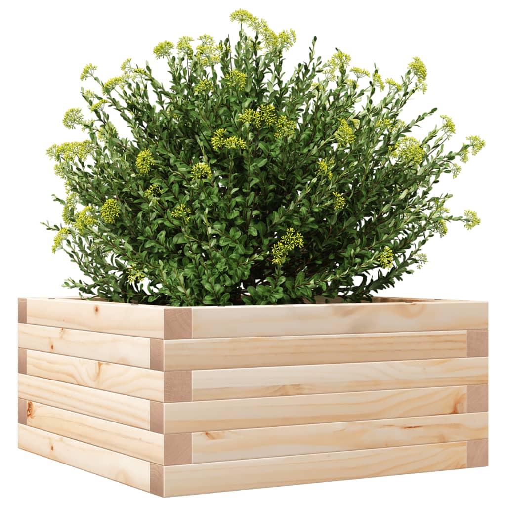 Vrtna sadilica 50 x 50 x 23 cm od masivne borovine