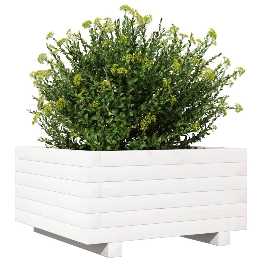 Vrtna sadilica bijela 50x50x26,5 cm od masivne borovine