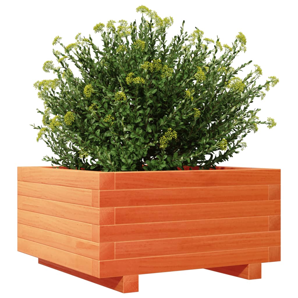 Vrtna sadilica voštano smeđe boje 50x50x26,5 cm od borovine