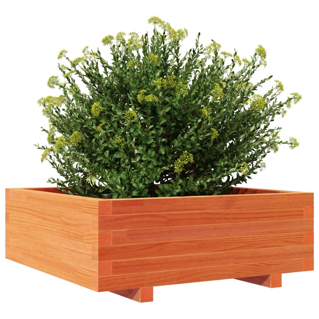 Vrtna sadilica voštano smeđa 70 x 70 x 26,5 cm masivna borovina
