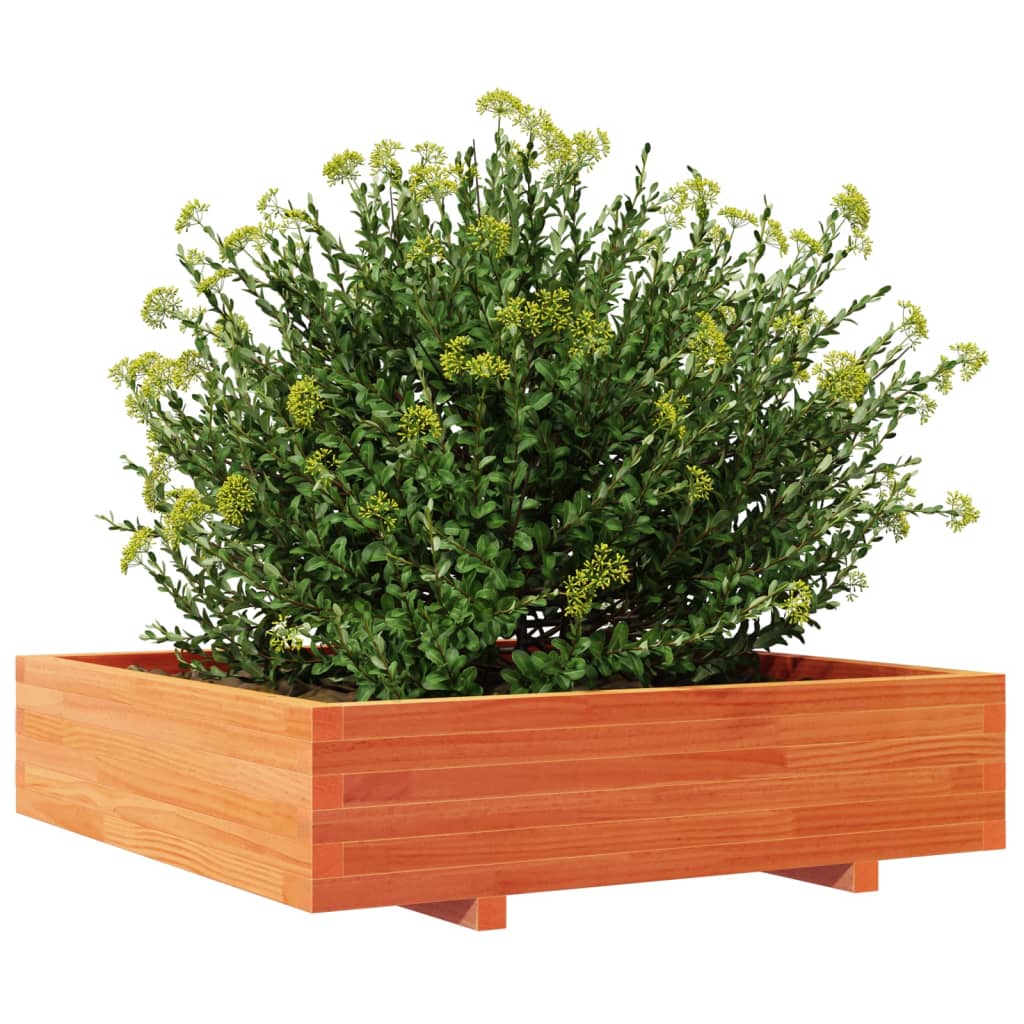 Vrtna sadilica voštano smeđa 100x100x26,5 cm masivna borovina
