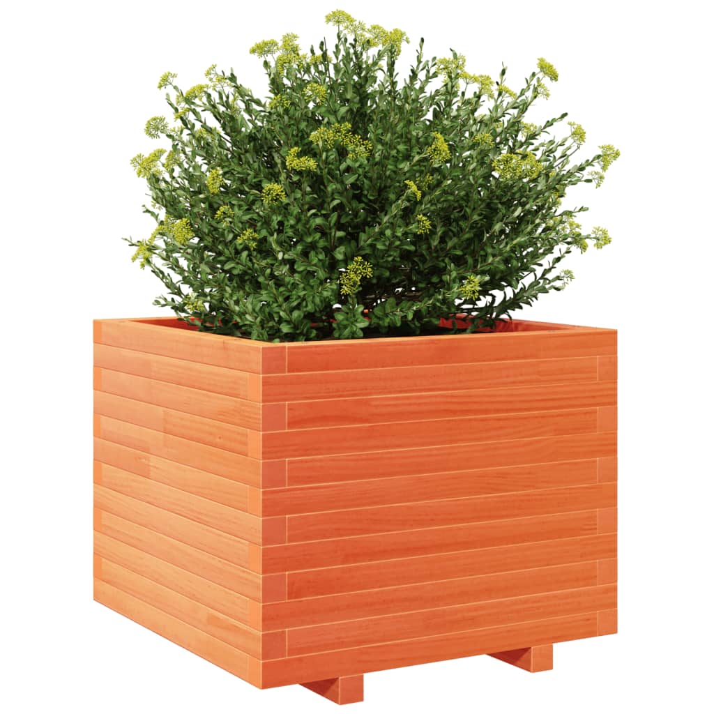 Vrtna sadilica voštano smeđe boje 60x60x49,5 cm od borovine