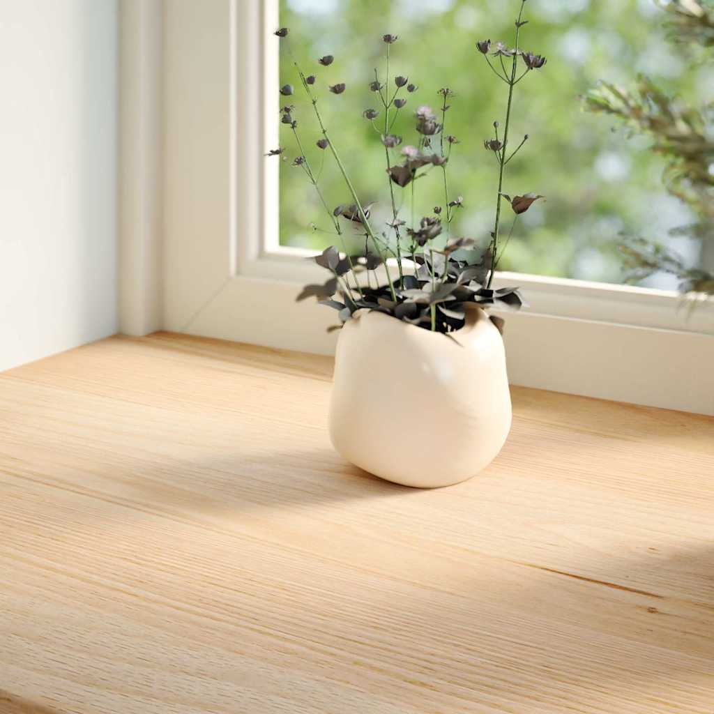 Prozorske klupice 2 kom 160x40x2 cm netretirane masivne hrast