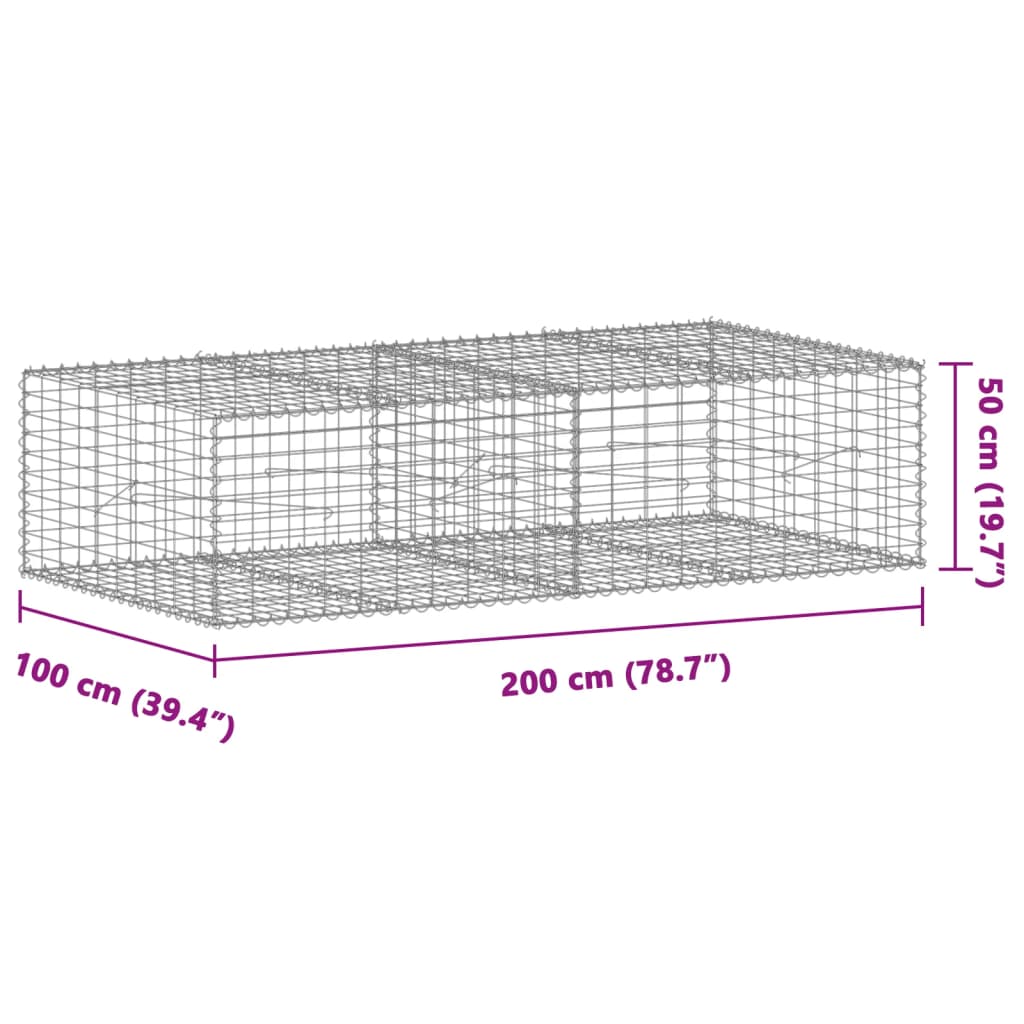 Gabionska košara s poklopcem 200x100x50 cm pocinčano željezo