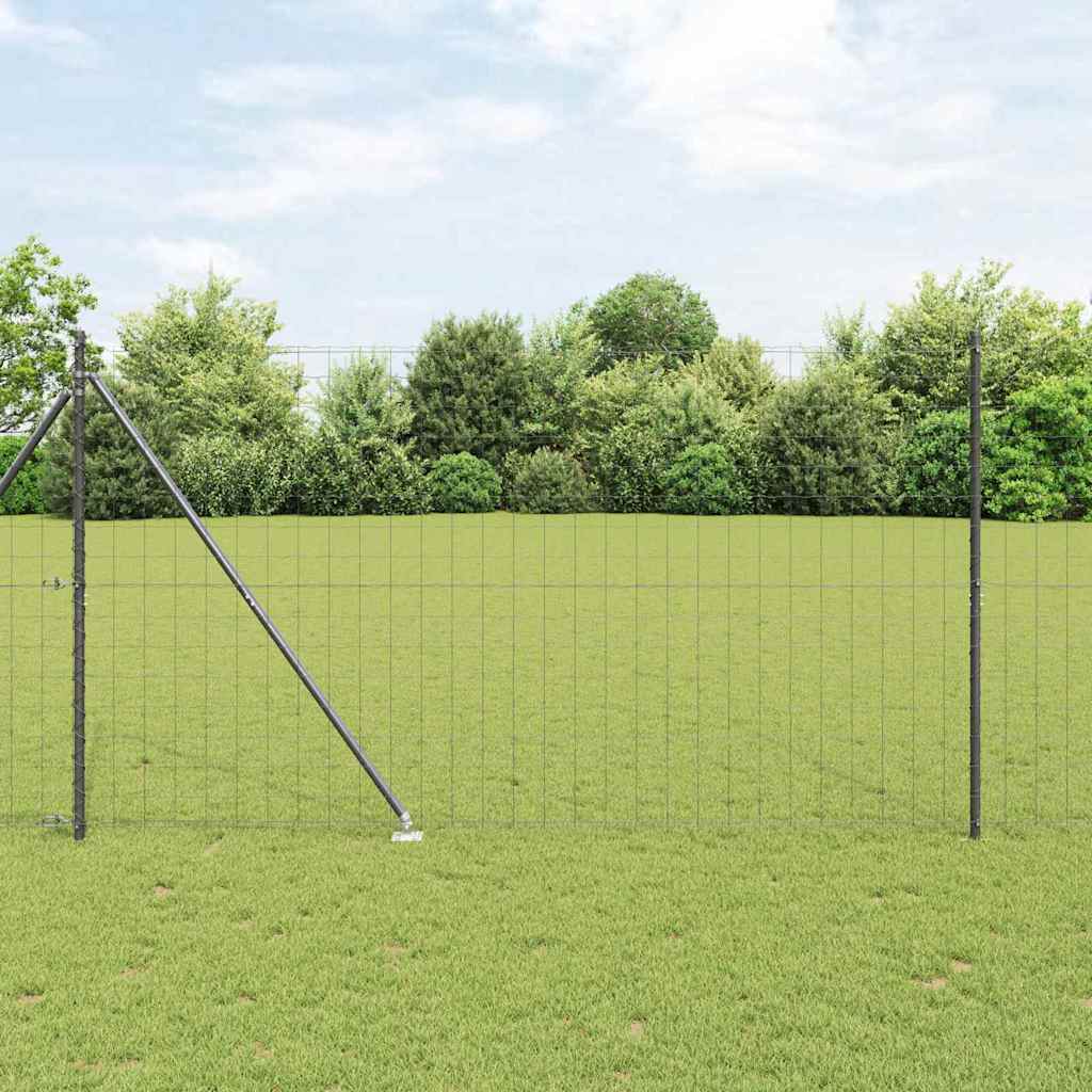 Euro ograda s špicama 10 x 1,6 m Čelik premazan PVC-om Siva
