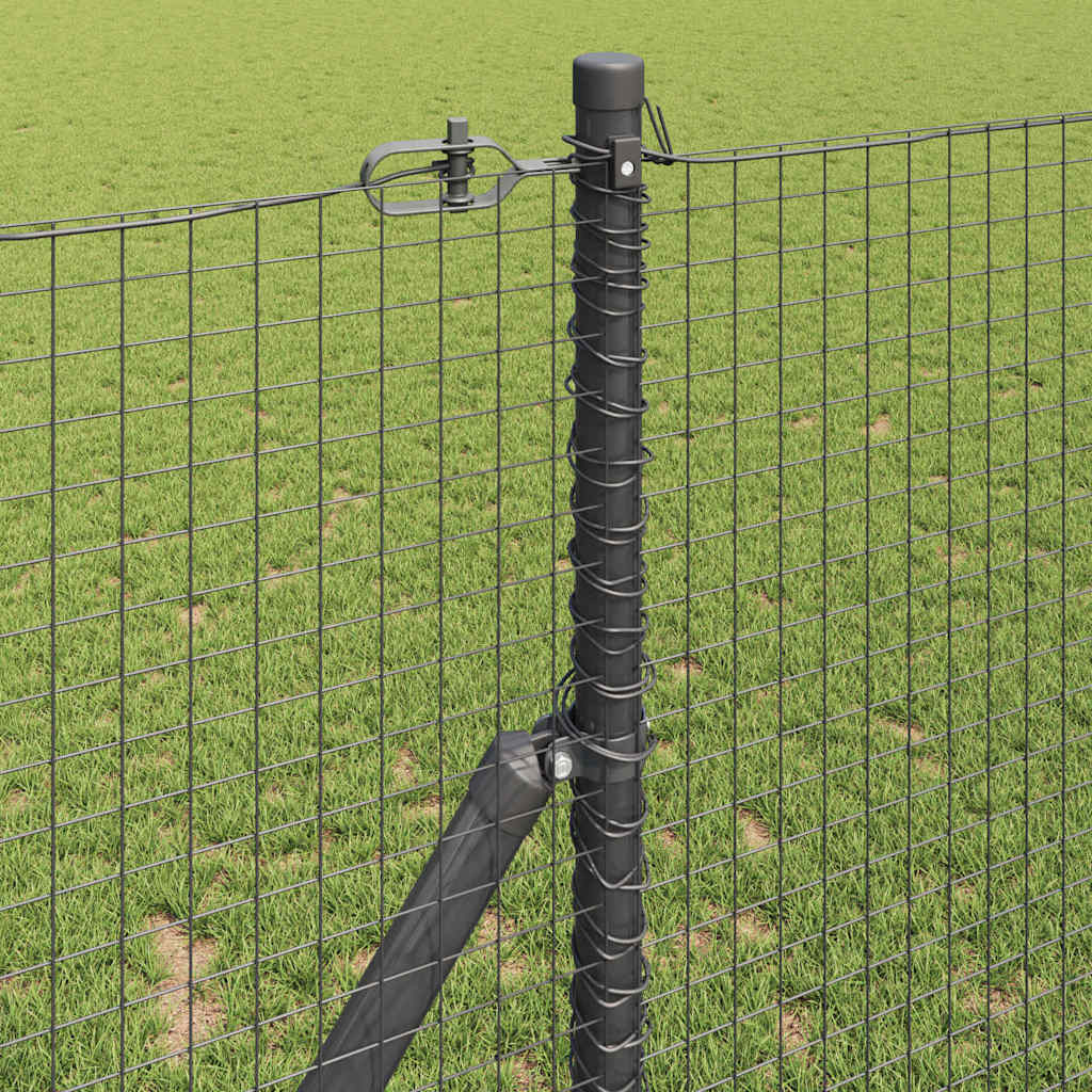 Temeljna zavarena žičana ograda 50 x 1 m Čelik premazan PVC-om