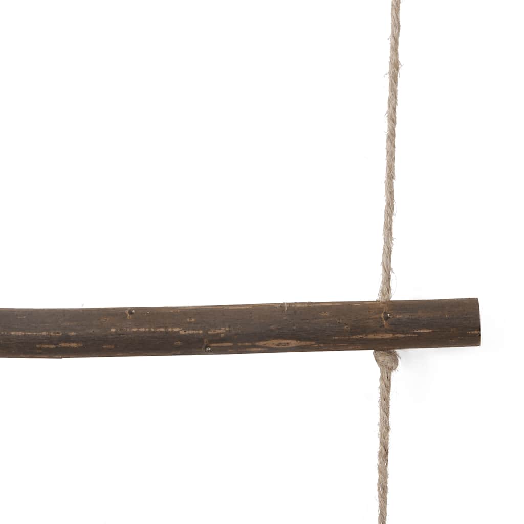 Zidni ukrasi u obliku ljestava 2 kom 30x100 cm prirodne grane