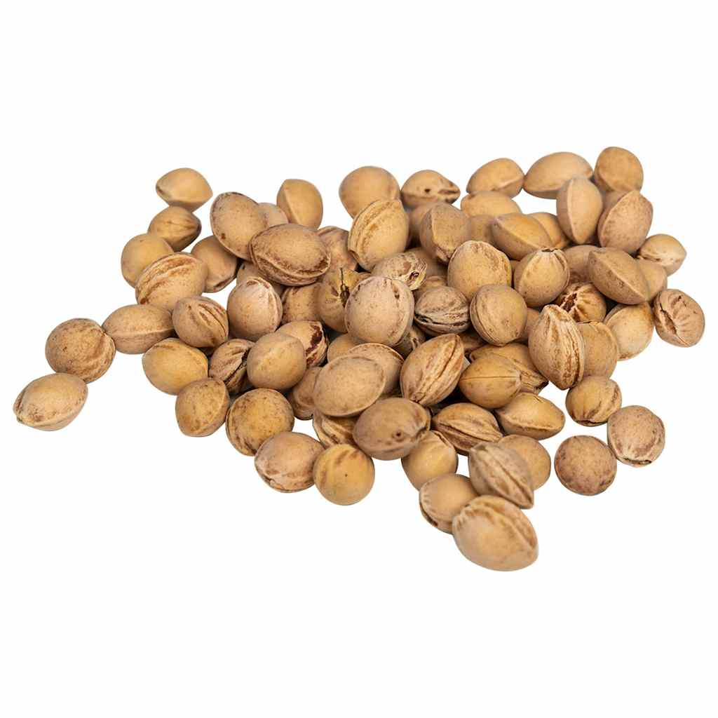 Koštice trešnje za grijaći jastuk 5 kg