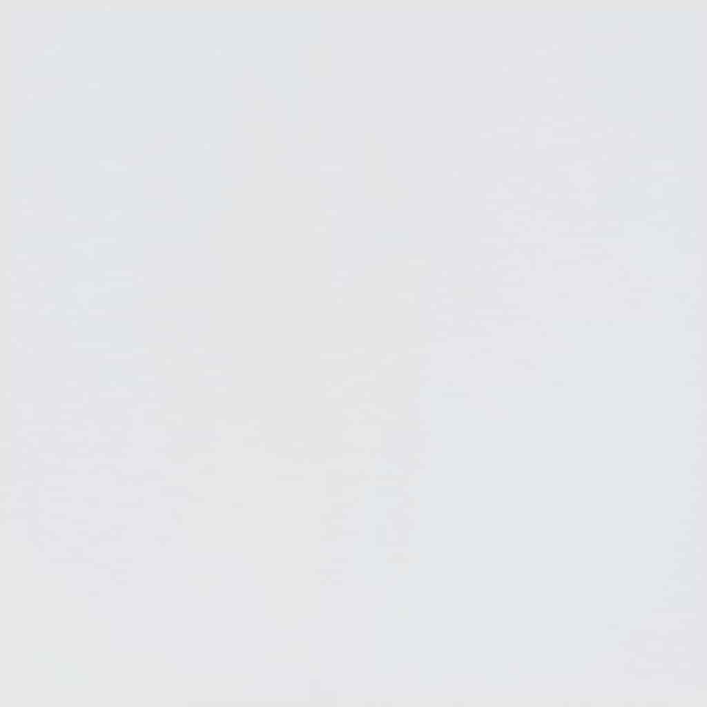 Drvo za dvoranu SANDNES bijelo 45x40x159,5 cm puno drvo bor
