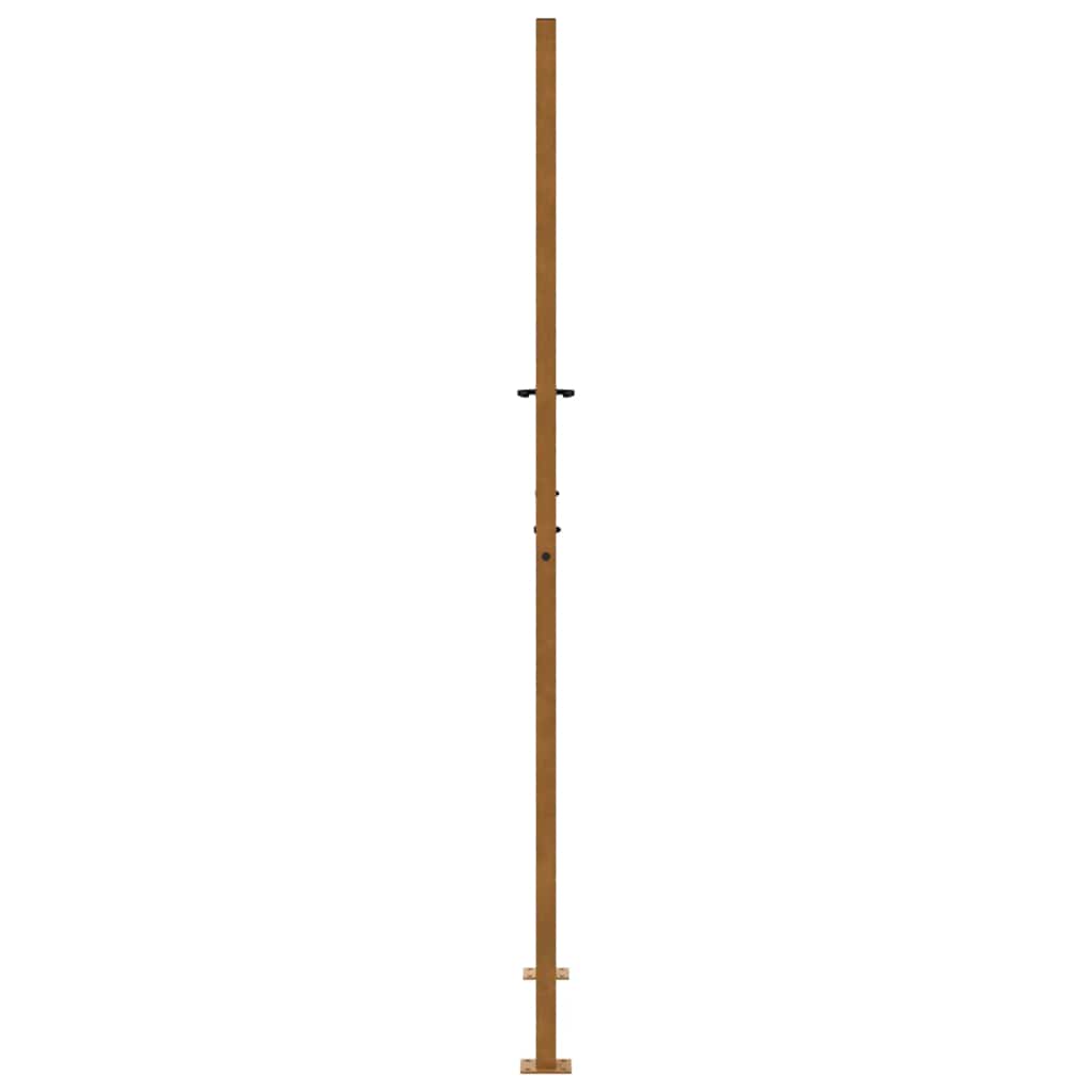 Vrtna vrata 100x200 cm Otporni čelik Dizajn s plamenom