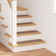 Podloge protiv klizanja za stepenice 15 pcs Smeđa 75 x 20 cm PP