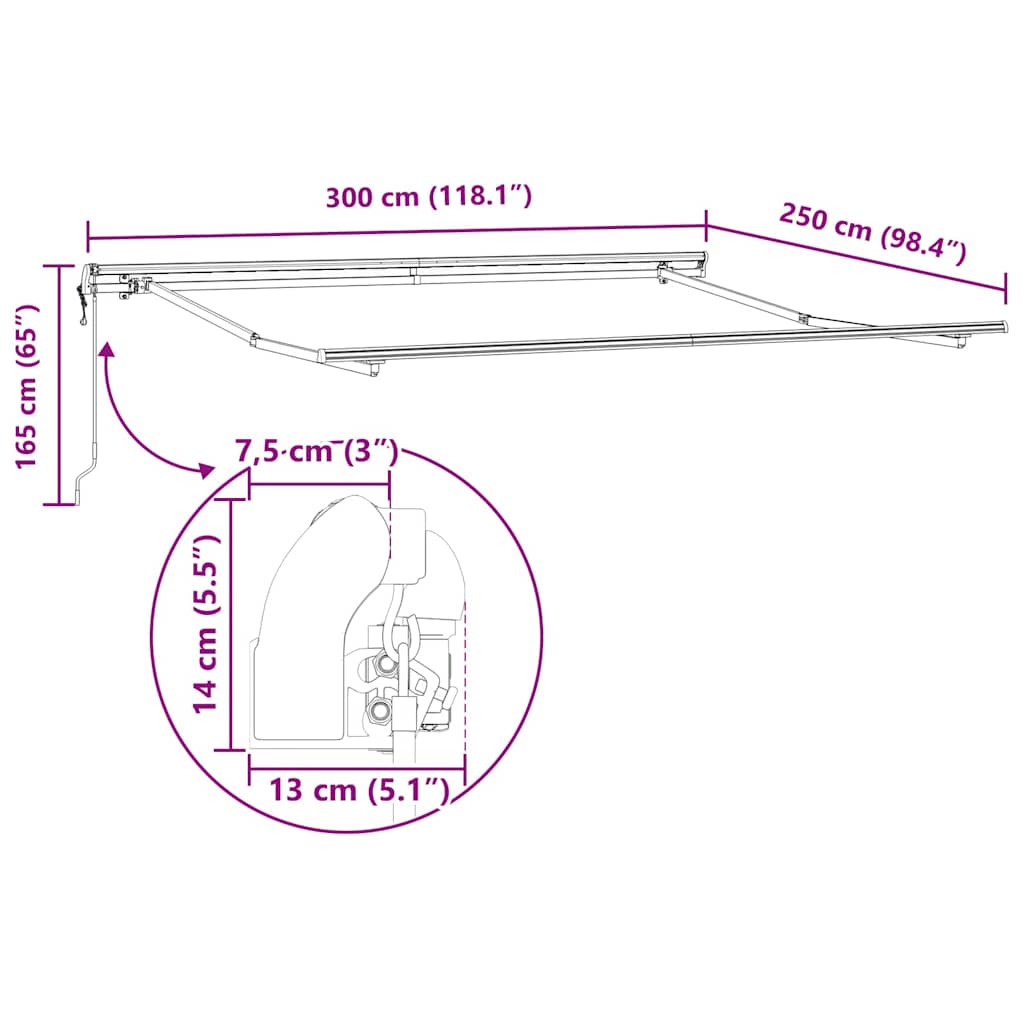 Električna retraktabilna tenda Crna 300 x 250 cm