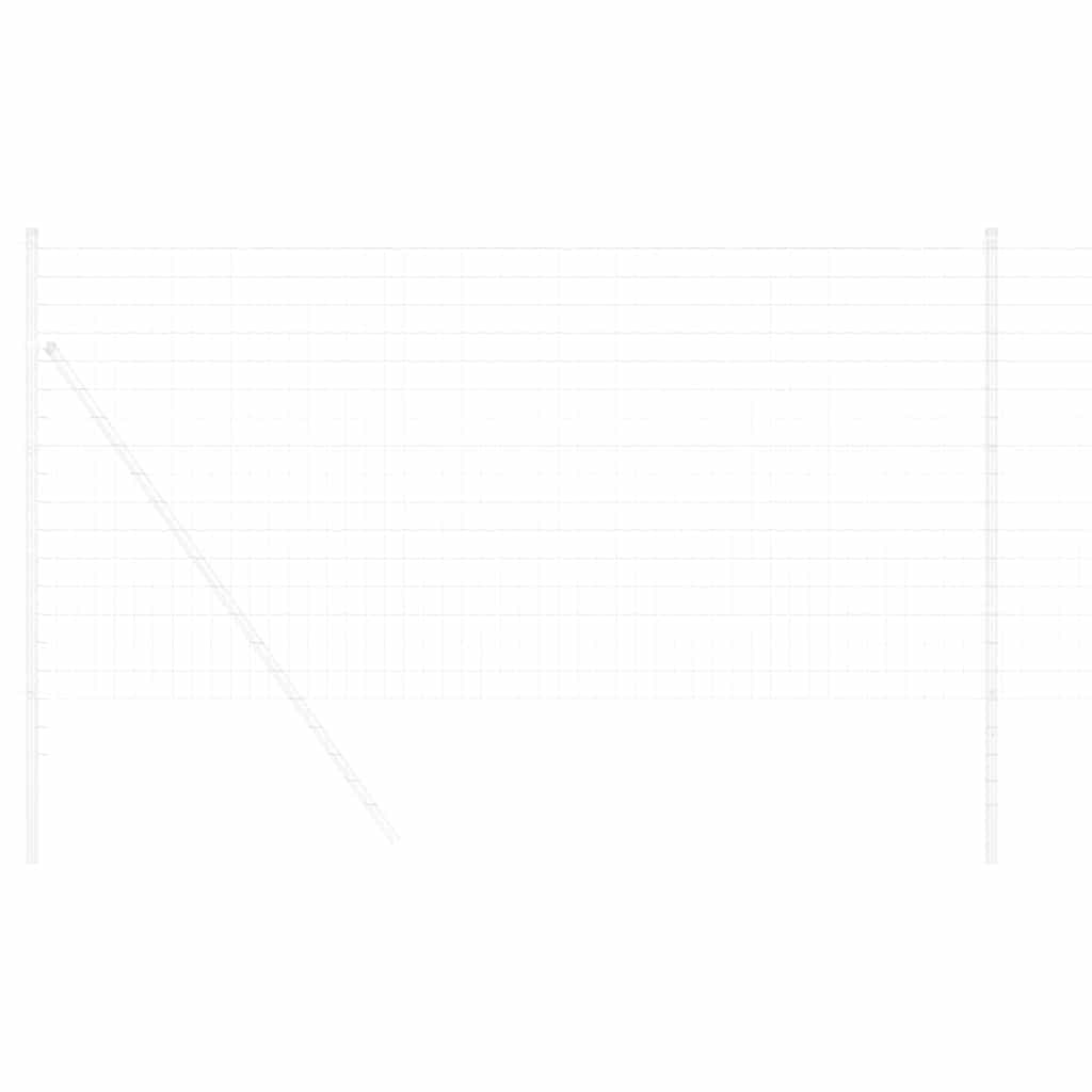 Euro ograda 1,4 x 10 m Željezo prekriveno PVC-om