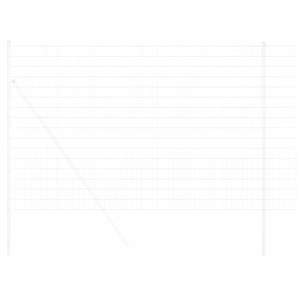Euro ograda 1,6 x 10 m Željezo prekriveno PVC-om