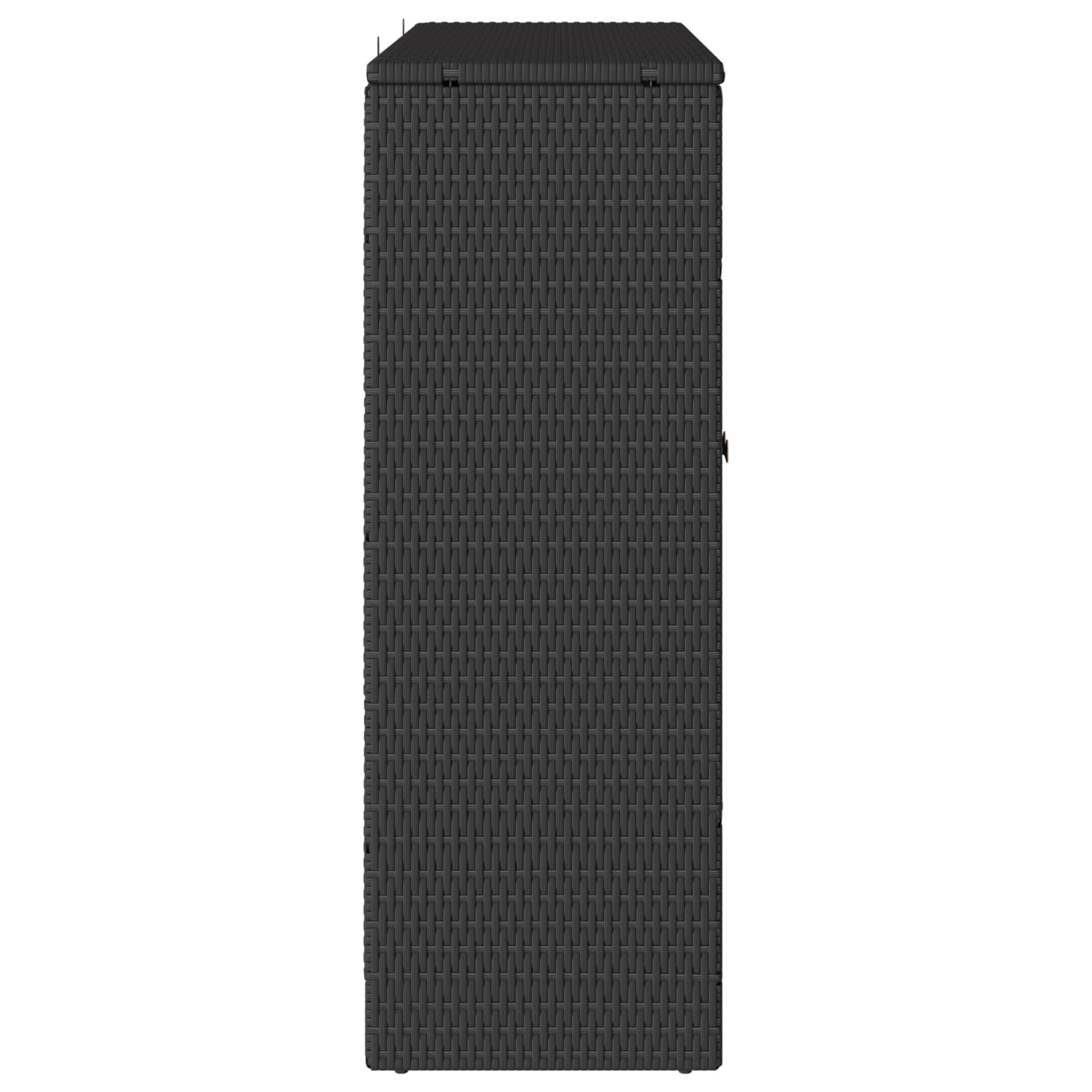 Ormarić za pohranu s policom Crna 100 x 36 x 102 cm Ratan