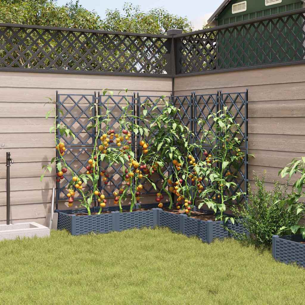 Vrtna saksija 5 pcs Svijetlo siva 120 x 120 x 125,5 cm Plastika