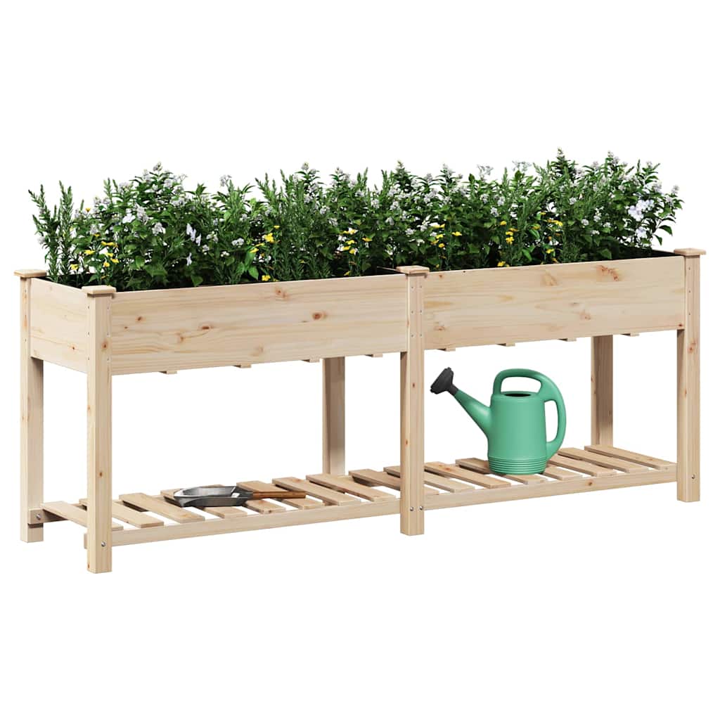Vrtna saksija s policom Bež 203 x 53 x 76,5 cm Čvrsto drvo jele