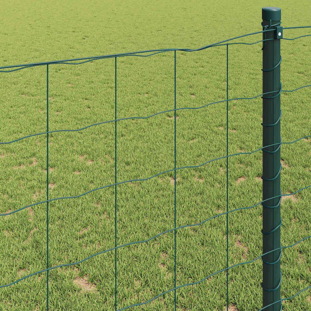 Euro ograda Zelena 1.6 x 10m Željezo prekriveno PVC-om