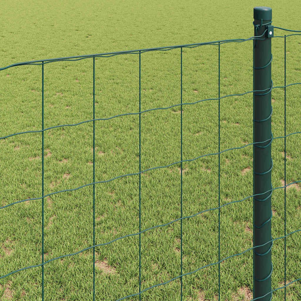 Euro ograda Zelena 1 x 25 m Željezo prekriveno PVC-om