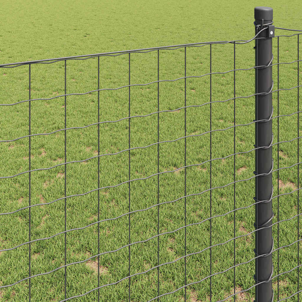 Euro ograda Siva 1,6 x 10 m Željezo prekriveno PVC-om