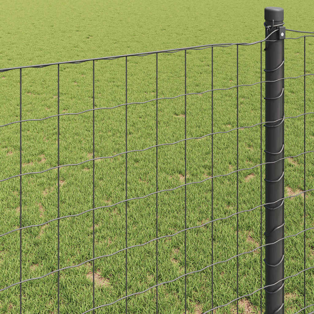Euro ograda Siva 1 x 10 m Željezo prekriveno PVC-om
