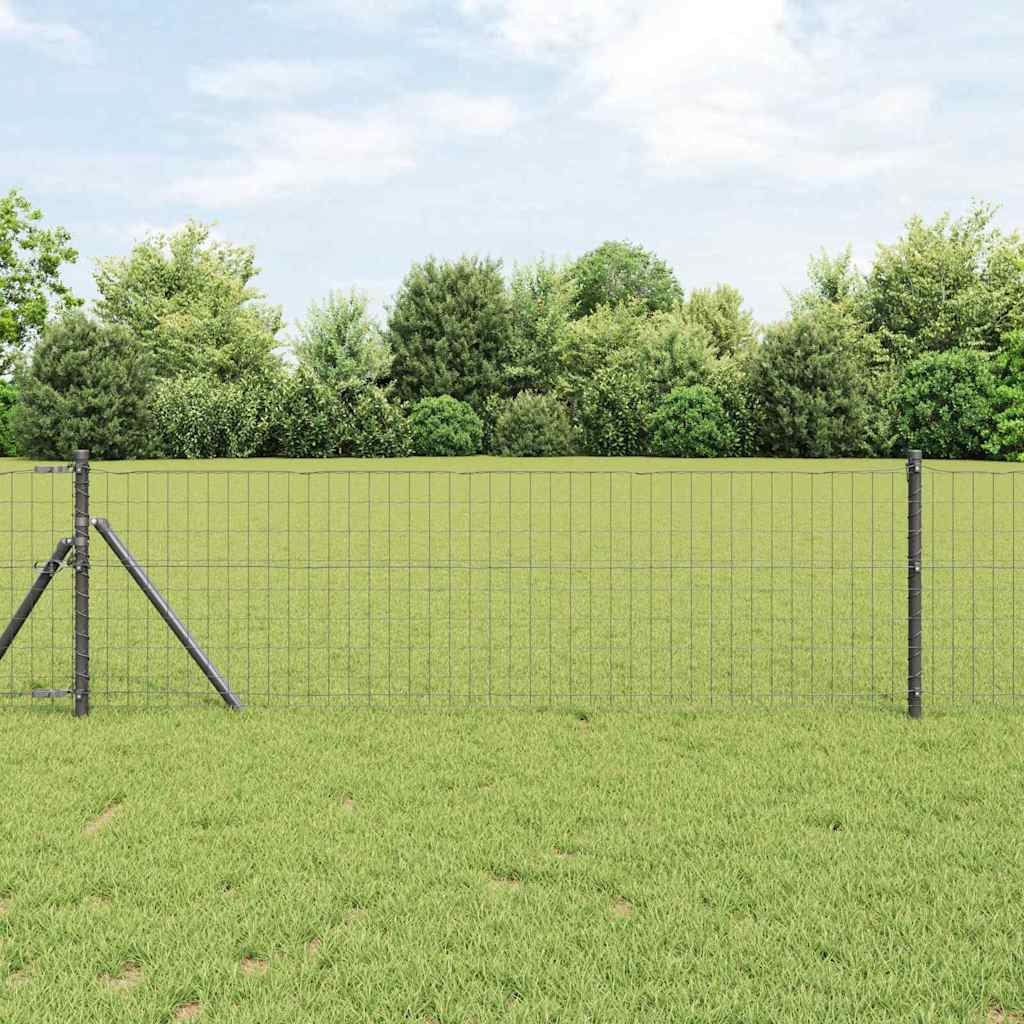 Euro ograda Siva 0.6 x 25 m Željezo prekriveno PVC-om