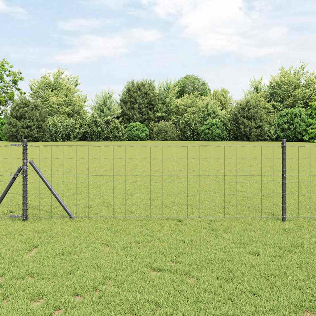 Euro ograda Siva 0,6 x 25 m Željezo prekriveno PVC-om