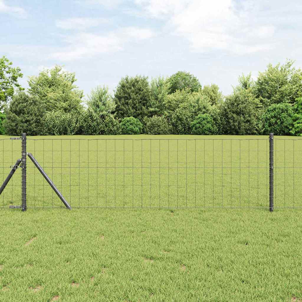 Euro ograda Siva 0,6 x 50 m Željezo prekriveno PVC-om