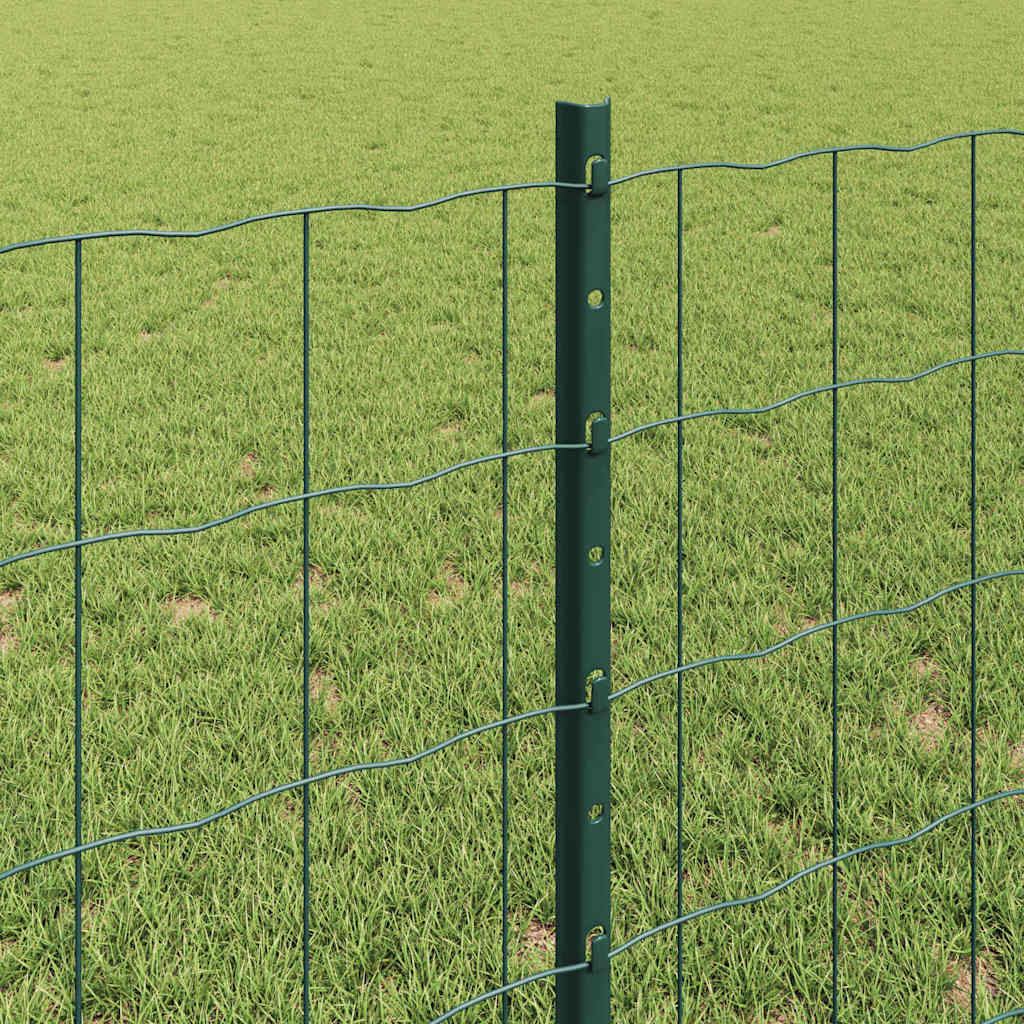 Euro ograda s postom 10 x 0,8 m Čelik premazan PVC-om Zelena