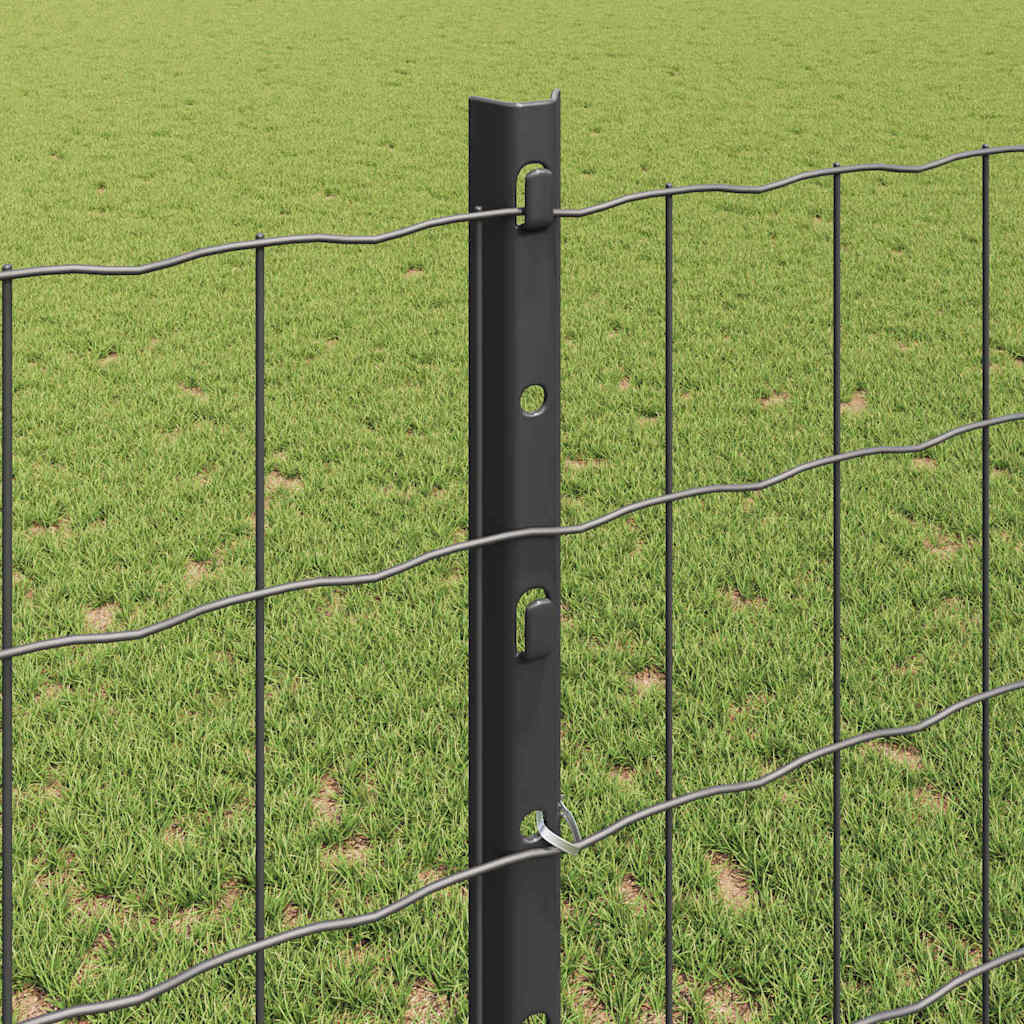 Zavarena žičana ograda 10 x 1,2 m (Š x V) Čelik premazan PVC-om