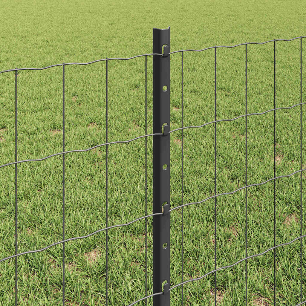 Zavarena žičana ograda 10 x 0,6 m (Š x V) Čelik premazan PVC-om