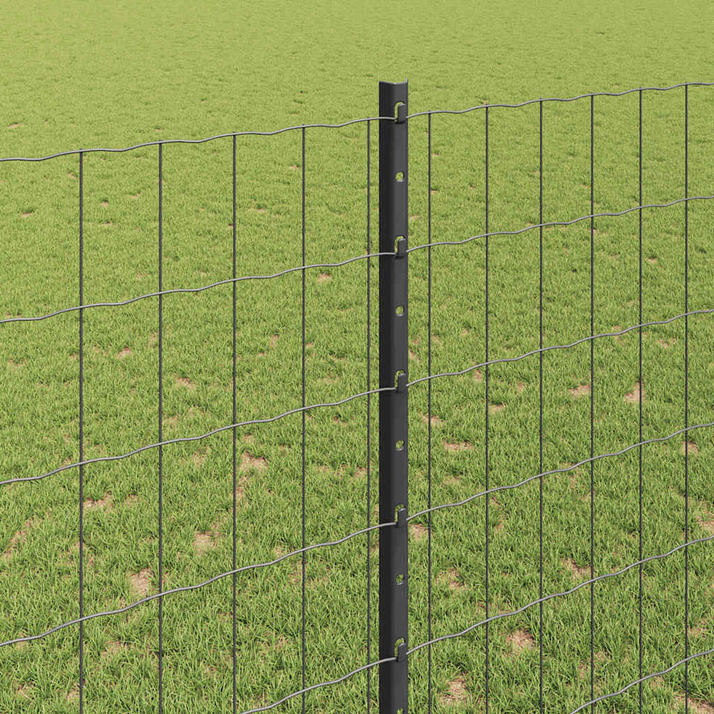 Euro ograda s postom 10 x 1,6 m Čelik premazan PVC-om Siva