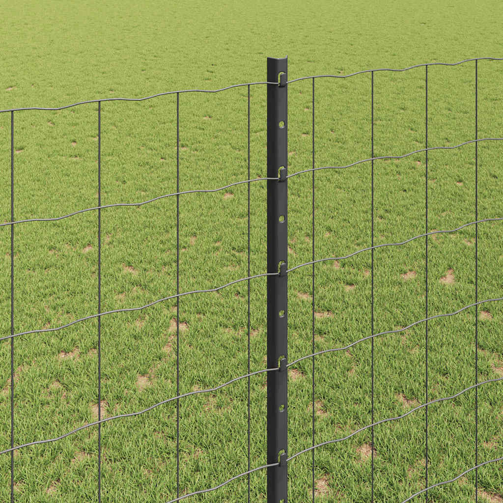 Euro ograda s postom 10 x 1,6 m Čelik premazan PVC-om Siva