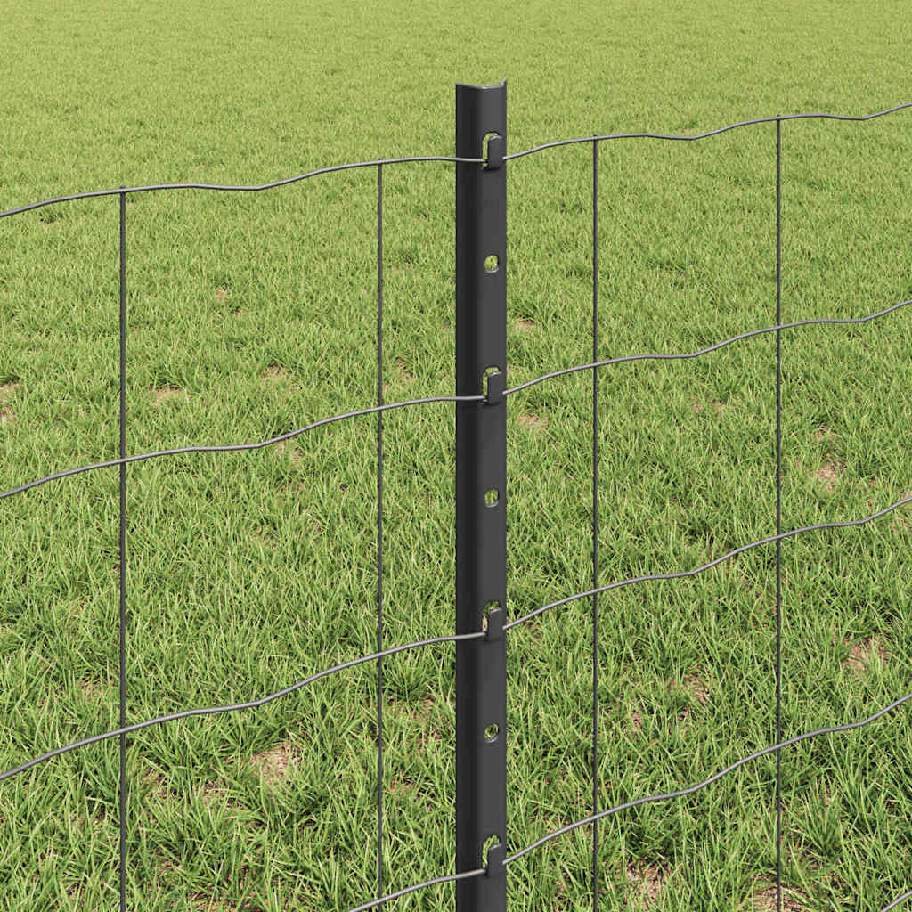 Zavarena žičana ograda 10 x 0,6 m (Š x V) Čelik premazan PVC-om