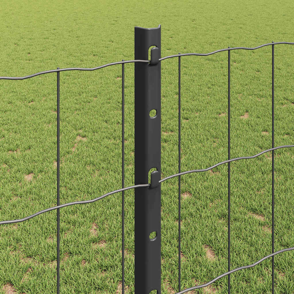 Euro ograda s postom 25 x 1,2 m Čelik premazan PVC-om Siva